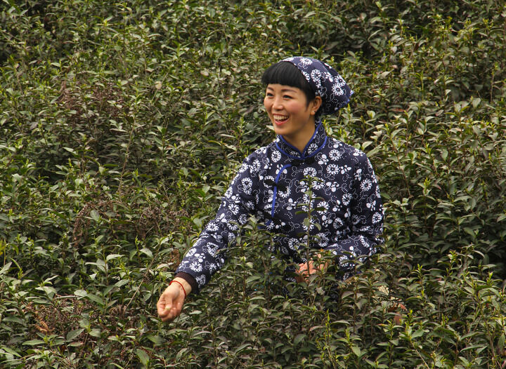 热门影视10